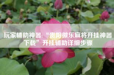 玩家辅助神器:“贵阳微乐麻将开挂神器下载”开挂辅助详细步骤