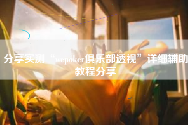 分享实测“wepoker俱乐部透视	”详细辅助教程分享