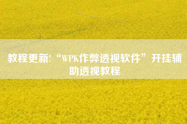 教程更新!“WPK作弊透视软件	”开挂辅助透视教程