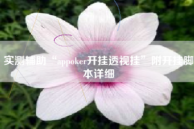 实测辅助“appoker开挂透视挂	”附开挂脚本详细
