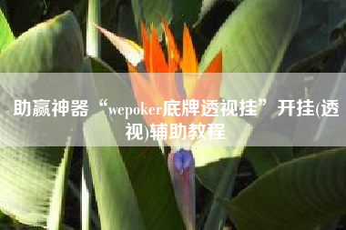 助赢神器“wepoker底牌透视挂	”开挂(透视)辅助教程