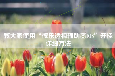 教大家使用“微乐透视辅助器IOS	”开挂详细方法
