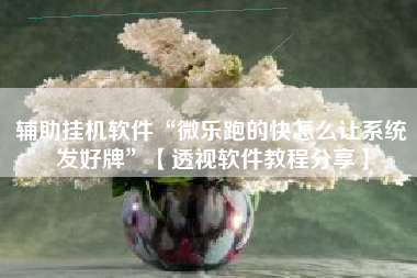辅助挂机软件“微乐跑的快怎么让系统发好牌	”【透视软件教程分享】