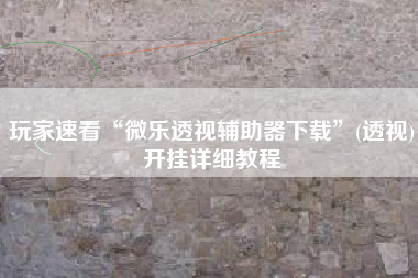 玩家速看“微乐透视辅助器下载	”(透视)开挂详细教程