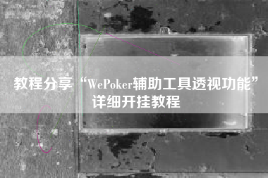 教程分享“WePoker辅助工具透视功能”详细开挂教程