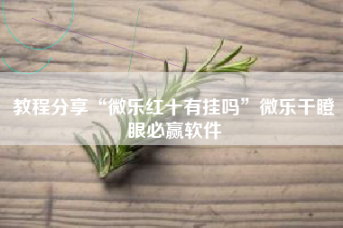 教程分享“微乐红十有挂吗”微乐干瞪眼必赢软件