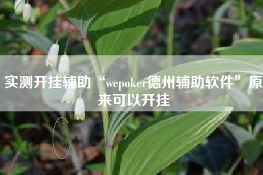 实测开挂辅助“wepoker德州辅助软件”原来可以开挂