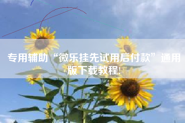 专用辅助“微乐挂先试用后付款	”通用版下载教程!