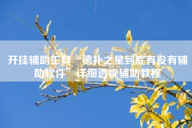 开挂辅助工具“德扑之星到底有没有辅助软件	”详细透视辅助教程