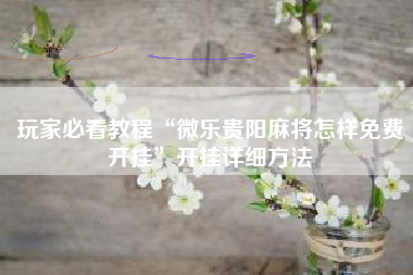 玩家必看教程“微乐贵阳麻将怎样免费开挂	”开挂详细方法