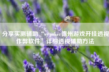分享实测辅助“wepoker德州游戏开挂透视作弊软件	”详细透视辅助方法