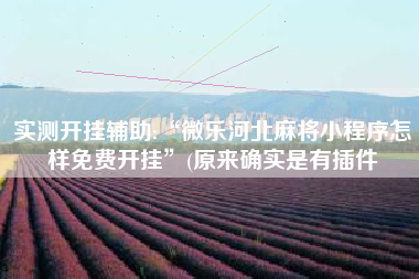 实测开挂辅助:“微乐河北麻将小程序怎样免费开挂”(原来确实是有插件