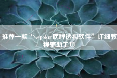 推荐一款“wepoker底牌透视软件”详细教程辅助工具