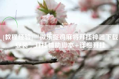 [教程经验]“微乐捉鸡麻将开挂神器下载安装”开挂辅助脚本+详细开挂