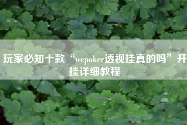 玩家必知十款“wepoker透视挂真的吗	”开挂详细教程