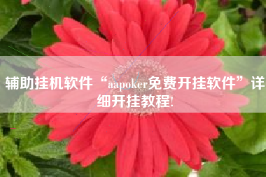 辅助挂机软件“aapoker免费开挂软件”详细开挂教程!