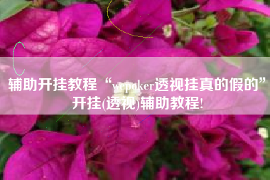 辅助开挂教程“wepoker透视挂真的假的”开挂(透视)辅助教程!