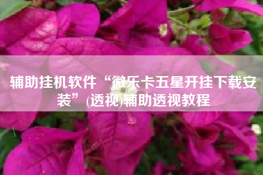 辅助挂机软件“微乐卡五星开挂下载安装”(透视)辅助透视教程