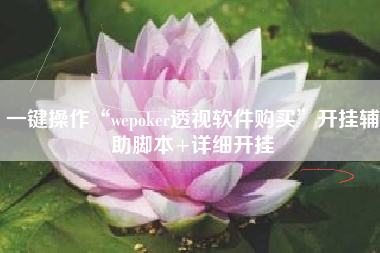 一键操作“wepoker透视软件购买	”开挂辅助脚本+详细开挂