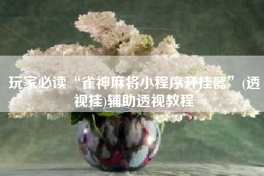 玩家必读“雀神麻将小程序开挂器”(透视挂)辅助透视教程