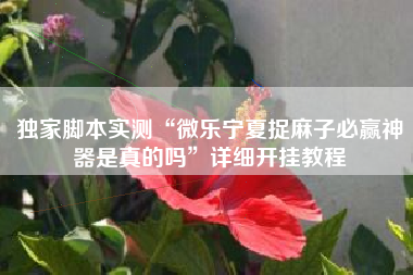 独家脚本实测“微乐宁夏捉麻子必赢神器是真的吗”详细开挂教程