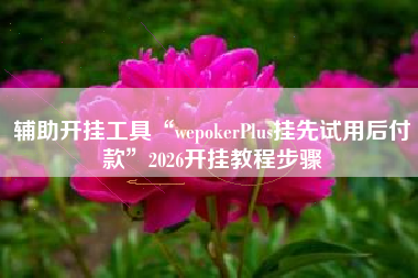 辅助开挂工具“wepokerPlus挂先试用后付款	”2026开挂教程步骤