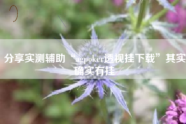 分享实测辅助“agpoker透视挂下载	”其实确实有挂