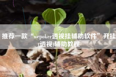 推荐一款“wepoker透视挂辅助软件	”开挂(透视)辅助教程