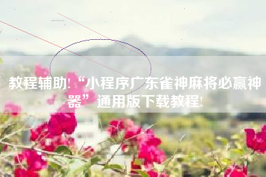 教程辅助!“小程序广东雀神麻将必赢神器”通用版下载教程!