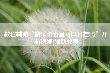 教程辅助“微乐卡五星可以开挂吗”开挂(透视)辅助教程