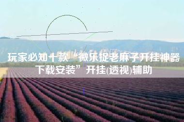 玩家必知十款“微乐捉老麻子开挂神器下载安装	”开挂(透视)辅助