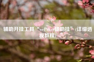 辅助开挂工具“wePoker辅助挂	”(详细透视教程)