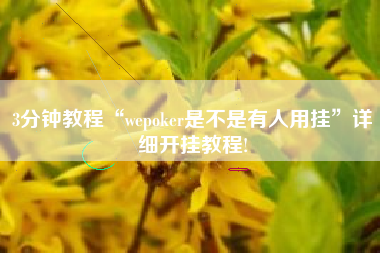 3分钟教程“wepoker是不是有人用挂”详细开挂教程!