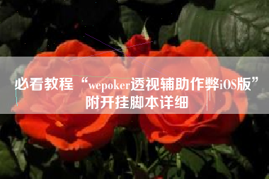 必看教程“wepoker透视辅助作弊iOS版”附开挂脚本详细
