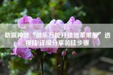 助赢神器“微乐万能开挂器苹果版	”透视挂!详细分享装挂步骤