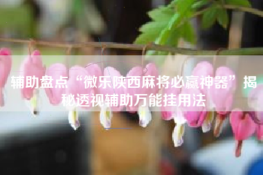 辅助盘点“微乐陕西麻将必赢神器	”揭秘透视辅助万能挂用法