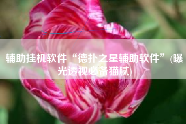 辅助挂机软件“德扑之星辅助软件”(曝光透视必备猫腻)