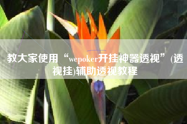 教大家使用“wepoker开挂神器透视”(透视挂)辅助透视教程