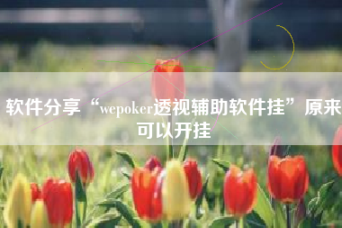 软件分享“wepoker透视辅助软件挂	”原来可以开挂