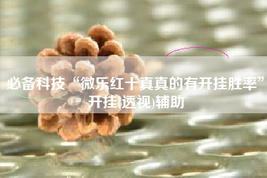 必备科技“微乐红十真真的有开挂胜率”开挂(透视)辅助