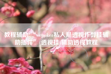 教程辅助!“wepoker私人局透视作弊挂辅助插件	”(透视挂)辅助透视教程