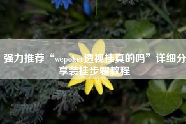 强力推荐“wepoker透视挂真的吗”详细分享装挂步骤教程