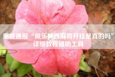 重要通报“微乐陕西麻将开挂是真的吗	”详细教程辅助工具