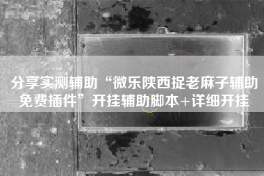 分享实测辅助“微乐陕西捉老麻子辅助免费插件	”开挂辅助脚本+详细开挂