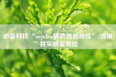 必备科技“wepoker辅助器透视挂”(透视)其实确实有挂