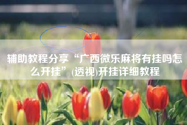 辅助教程分享“广西微乐麻将有挂吗怎么开挂	”(透视)开挂详细教程