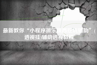最新教你“小程序微乐陕西挖坑辅助	”(透视挂)辅助透视教程