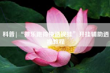 科普|“微乐跑得快透视挂	”开挂辅助透视教程