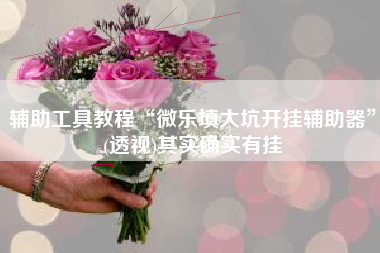 辅助工具教程“微乐填大坑开挂辅助器”(透视)其实确实有挂