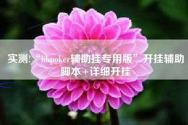 实测!“hhpoker辅助挂专用版	”开挂辅助脚本+详细开挂